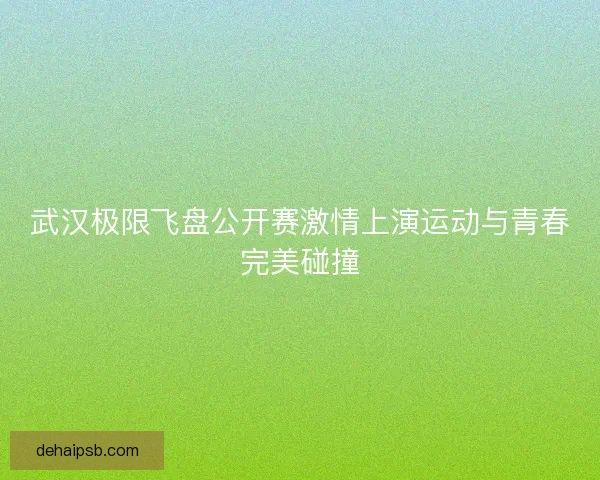 武汉极限飞盘公开赛激情上演运动与青春完美碰撞