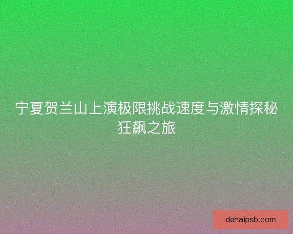 宁夏贺兰山上演极限挑战速度与激情探秘狂飙之旅