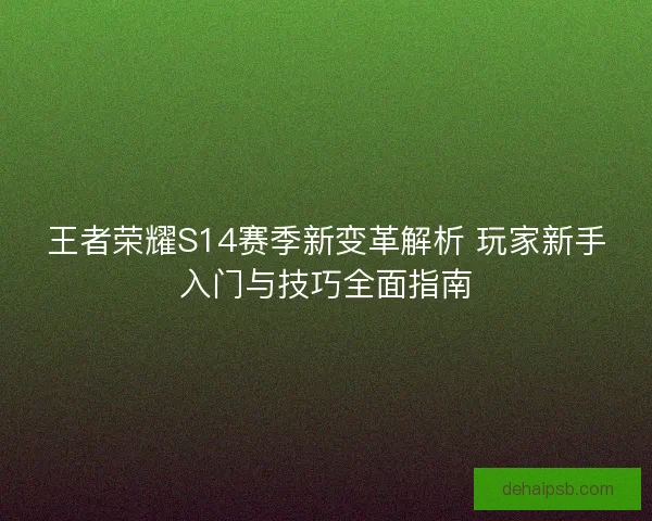 王者荣耀S14赛季新变革解析 玩家新手入门与技巧全面指南