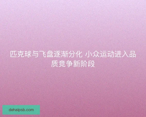 匹克球与飞盘逐渐分化 小众运动进入品质竞争新阶段 匹克球与飞盘逐渐分化 小众运动进入品质竞争新阶段